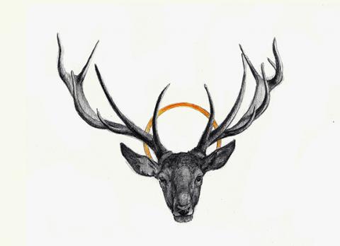 Cadáver ciervo - Your reward