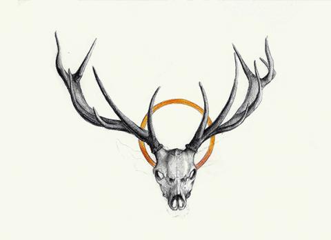 Cadáver ciervo - Your reward