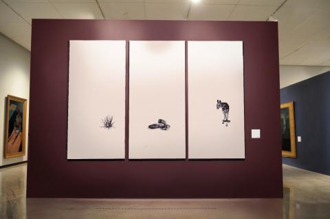 Trípticos de artefactos MNH